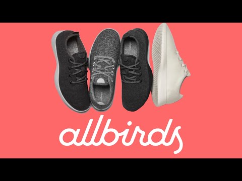 What is Allbirds? The Sustainable Shoe Company