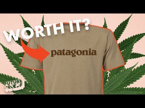 The TRUTH About Patagonia&#039;s New Material