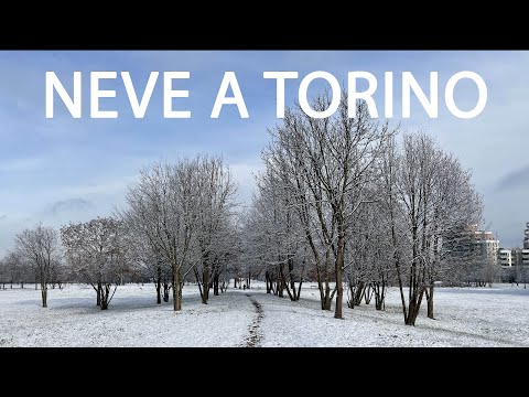 Neve a Torino (parco Colonnetti - parco Boschetto)
