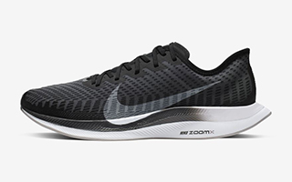 Nike Zoom Pegasus Turbo 2 shoe