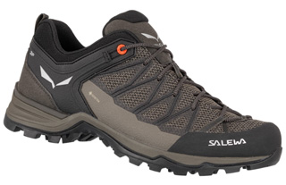 Salewa Mountain Trainer Lite GORE-TEX Mens Shoes