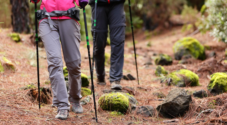 a couple hiking in the woods