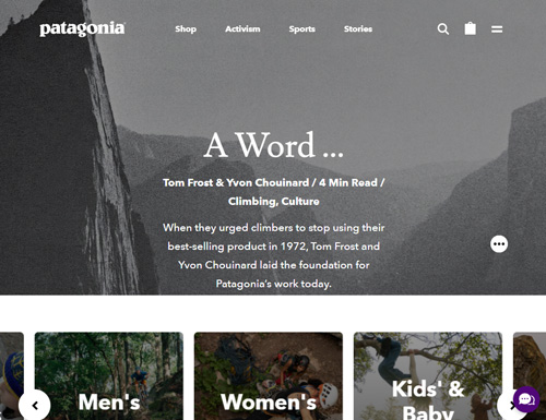 Patagonia official website