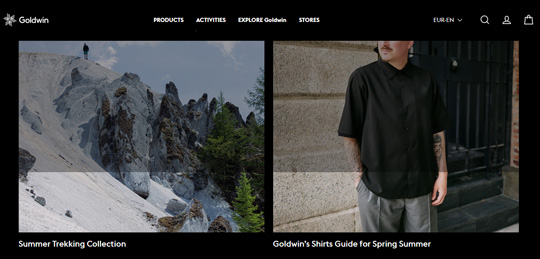 Goldwin official website