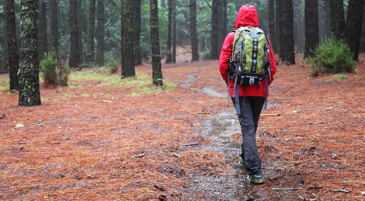 hiker in rainy forest