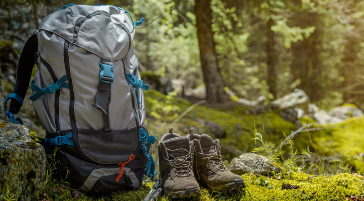 hiking backpack in the forest