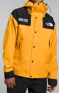 The North Face Mens GTX Mountain Jacket
