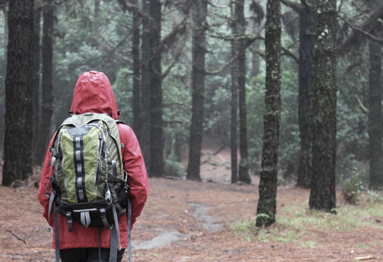 hiker wearing a rain jacket in a forest trail