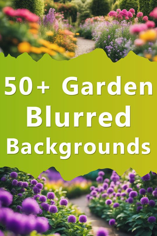 Garden Blurred Backgrounds
