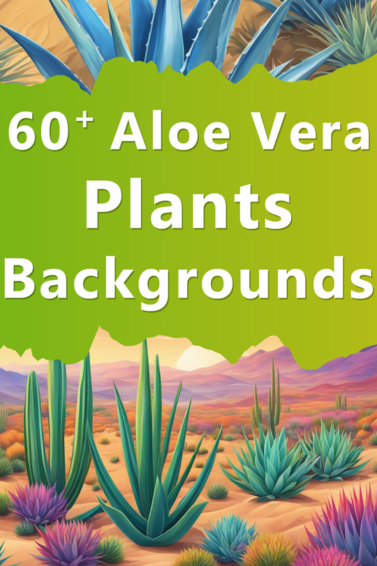 Aloe Vera Plants Aesthetic Illustration Backgrounds