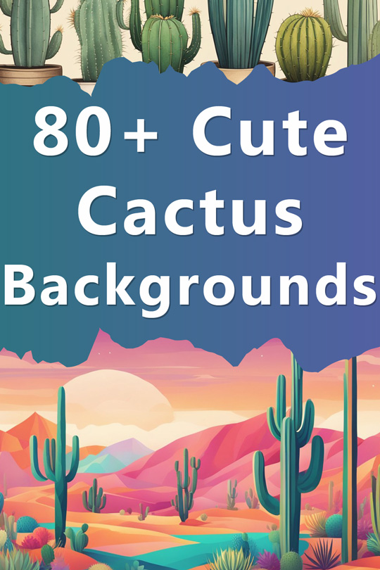 Cute Cactus Illustration Backgrounds, Wallpapers, Patterns