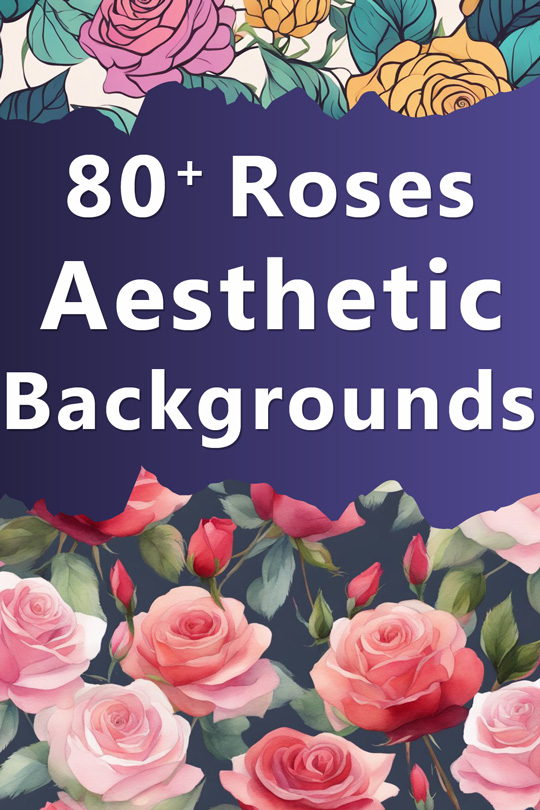 Roses Aesthetic Backgrounds, Wallpapers, Illustrations, Patterns