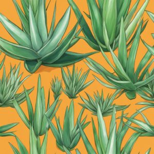 aloe vera plants orange illustration background 4