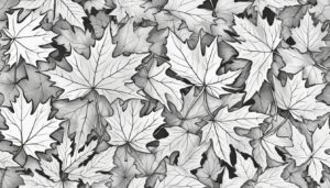 black and white monochrome maple leaf background illustration 2