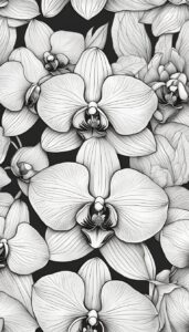 black and white monochrome orchid flower aesthetic illustration background 3