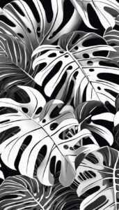 black and white monstera plant aesthetic illustration background 5