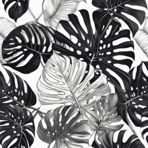 black and white monstera plant aesthetic illustration background 7