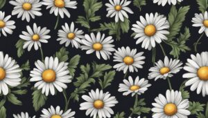 black dark daisy flower aesthetic background illustration 3