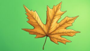 maple leaf green background illustration 1