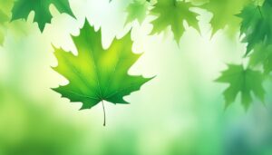 maple leaf green background illustration 2