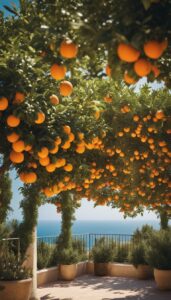 orange trees near Mediterranean sea