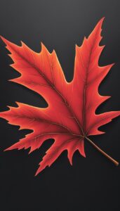 red maple leaf black dark background illustration 3