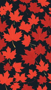 red maple leaf black dark background illustration 5