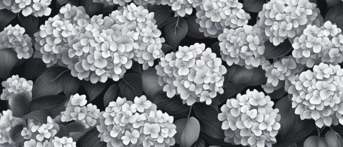 black and white monochrome hydrangea ortensia flower aesthetic background wallpaper illustration 1