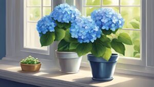 blue hydrangea hortensia plant in pot illustration idea 1