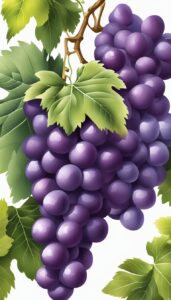 grape vine pattern on white background wallpaper illustration 2