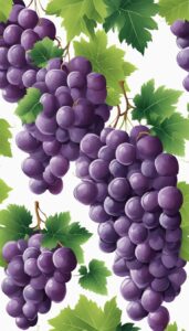 grape vine pattern on white background wallpaper illustration 4