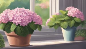 pink hydrangea hortensia plant in pot illustration idea 1