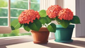 red hydrangea hortensia plant in pot illustration idea 1