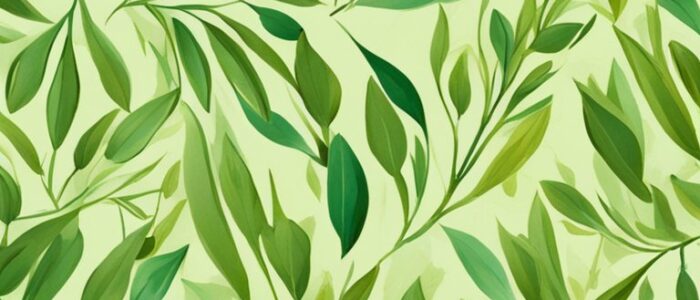 olive tree leaves pattern background wallpaper aesthetic illustration 2