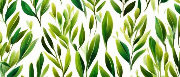 olive tree leaves pattern background wallpaper aesthetic illustration 3