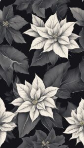 Black Poinsettia Flower background 1