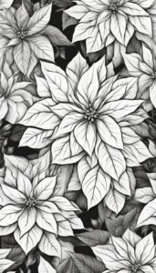 Black and White Poinsettia Flower background 2