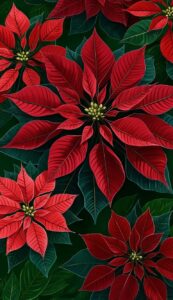 Dark Red Poinsettia Flower background 4