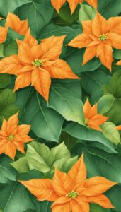 Orange Poinsettia Flower background 1