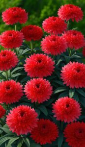 Red Mum Chrysanthemum flower background aesthetic wallpaper illustration 4