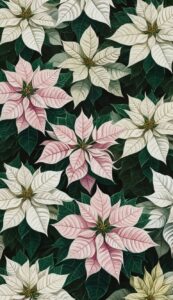 White Poinsettia Flower background 4