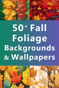 50+ Fall Foliage Backgrounds, Phone Wallpapers, Patterns, Illustrations ...