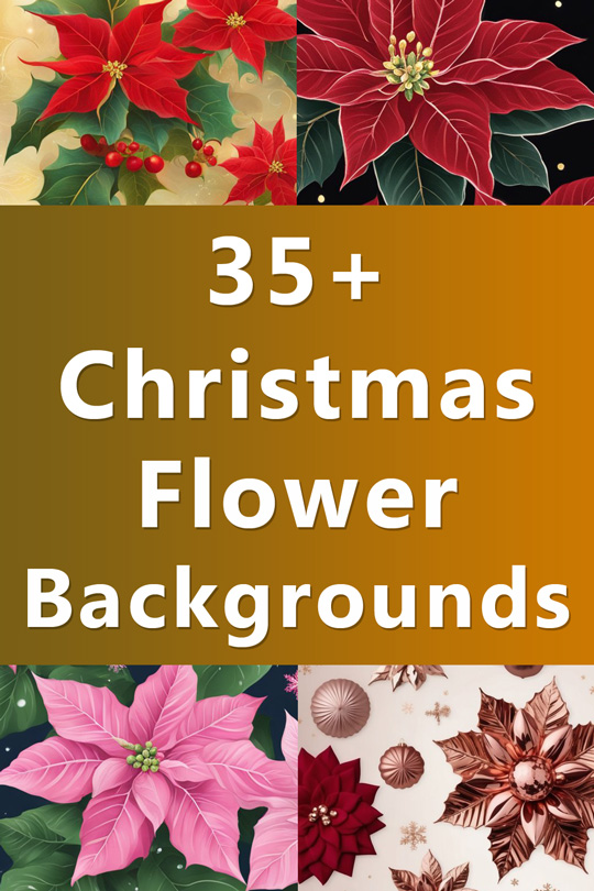 christmas flowers backgrounds wallpapers illustrations