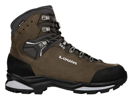 Lowa Camino Evo GTX Trekking Boots